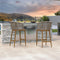 PURPLE LEAF Outdoor Bar stools Stools Set of 2 Rattan Bar Chairs with Embedded Cushions and  Back for Outdoor or Indoor