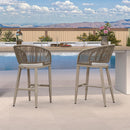 PURPLE LEAF Outdoor Bar stools Stools Set of 2 Rattan Bar Chairs with Embedded Cushions and  Back for Outdoor or Indoor