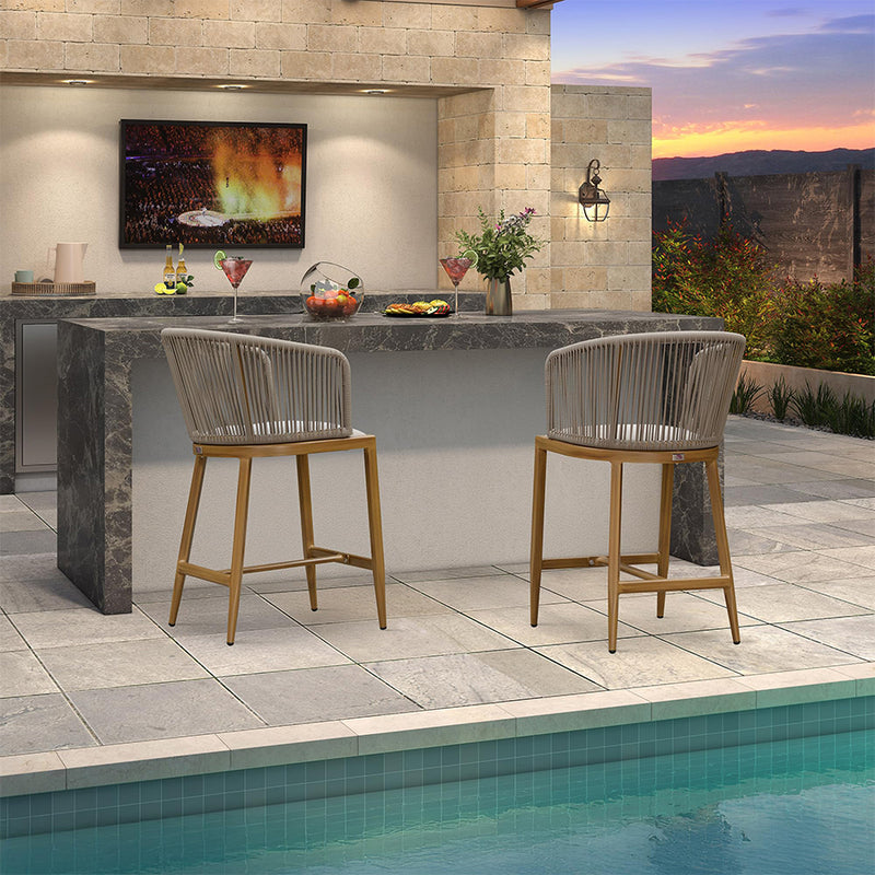 PURPLE LEAF Outdoor Bar stools Stools Set of 2 Rattan Bar Chairs with Embedded Cushions and  Back for Outdoor or Indoor