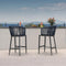 PURPLE LEAF Outdoor Bar stools Stools Set of 2 Rattan Bar Chairs with Embedded Cushions and  Back for Outdoor or Indoor