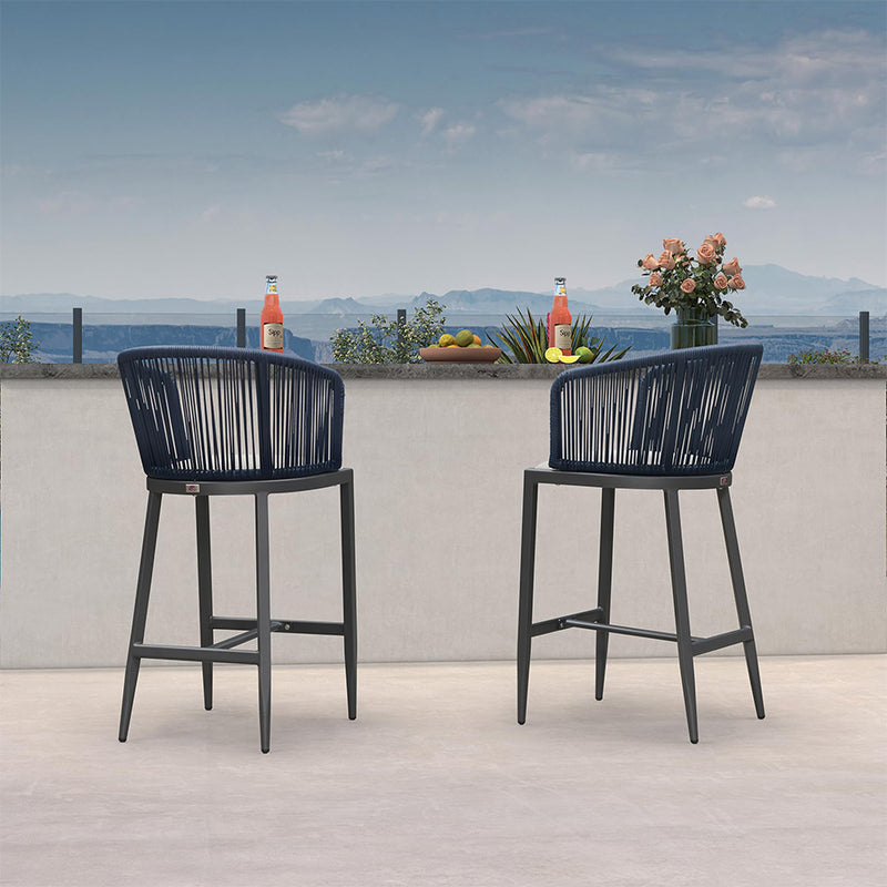 PURPLE LEAF Outdoor Bar stools Stools Set of 2 Rattan Bar Chairs with Embedded Cushions and  Back for Outdoor or Indoor