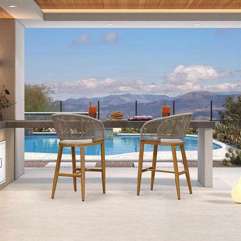 PURPLE LEAF Outdoor Bar stools Stools Set of 2 Rattan Bar Chairs with Embedded Cushions and  Back for Outdoor or Indoor