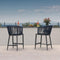 PURPLE LEAF Outdoor Bar stools Stools Set of 2 Rattan Bar Chairs with Embedded Cushions and  Back for Outdoor or Indoor