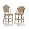 OPEN BOX I PURPLE LEAF French Counter Height Bar Height Stool Set of 2, Patio Bar Chairs with Back Rattan, French Bistro Set