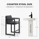 PURPLE LEAF Caesar Bar Stools Set of 2 Modern Aluminum Barstools with Stainless Removable Cushion for Kitchen Outside Island Backyard