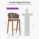 PURPLE LEAF Outdoor Bar Stools with Back, Iron Rattan Patio Bar Chairs with embedded Cushion, Garden Outside Bar Stools