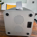 PURPLE LEAF grey portable power station back view, featuring handle, vent, and universal outlet.