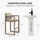 PURPLE LEAF Caesar Bar Stools Set of 2 Modern Aluminum Barstools with Stainless Removable Cushion for Kitchen Outside Island Backyard