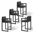 PURPLE LEAF Caesar Bar Stools Set of 2 Modern Aluminum Barstools with Stainless Removable Cushion for Kitchen Outside Island Backyard