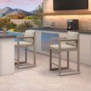 PURPLE LEAF Caesar Bar Stools Set of 2 Modern Aluminum Barstools with Stainless Removable Cushion for Kitchen Outside Island Backyard