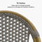 OPEN BOX I PURPLE LEAF French Counter Height Bar Height Stool Set of 2, Patio Bar Chairs with Back Rattan, French Bistro Set