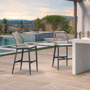 PURPLE LEAF Bar Stools Set of 2 Modern Rattan Bar Stools Counter Stools with Cushions for Outdoor Kitchen Island Stools