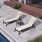 PURPLE LEAF Lounge Chair Set for Outside Aluminum Patio Recliner with Side Table and Pillow Beach Sunbathing Tanning Chairs Pool Chaise Lounger Outdoor