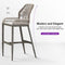 PURPLE LEAF Bar Stools Set of 2 Modern Rattan Bar Stools Counter Stools with Cushions for Outdoor Kitchen Island Stools