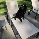 PURPLE LEAF Aluminum Outdoor Chaise Lounge with Wheels and Armrests for Pool Backyard Beach
