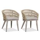 PURPLE LEAF 2 Pieces Patio Dining Chair All-Weather Rattan Outdoor Dining Chair Set with Aluminum Frame for Garden Backyard Deck