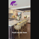 PURPLE LEAF Outdoor Bar Stools Set of 2 Rattan Bar Stools Counter Stools with Back and Cushions  for Patio, Garden, Kitchen