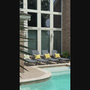 PURPLE LEAF Outdoor Chaise Lounge Patio Chair 5 Positions Adjustable Aluminum Frame with Textilene Seat Lightweight and Durable Pool Chaise Lounge for Patio Poolside Beach Yard