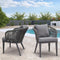 PURPLE LEAF 2 Pieces Patio Furniture Outdoor Grey Dining Chairs with Cushions and Pillows - Purple Leaf Garden