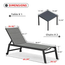 PURPLE LEAF Extra Large 2 Pieces Outdoor Aluminum Chaise Lounge Chair with Wheels - Purple Leaf Garden