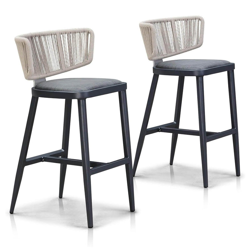 PURPLE LEAF Outdoor Bar Stools Set of 2, Aluminum Frame, Cradle back, Height Stools Chair - Purple Leaf Garden