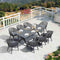 PURPLE LEAF Outdoor Dining Set Rattan Dining Chairs and Table for Garden Patio - Purple Leaf Garden