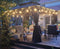 PURPLE LEAF Outdoor Hardtop Gazebo for Patio Bronze Aluminum Frame Pavilion with Navy-Blue Curtain and String Lights - Purple Leaf Garden