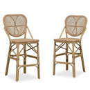 PURPLE LEAF counter stools set of 2 with white background, woven barstools made of high quality PE rattan material, good waterproof performance, imitation bamboo double tube aluminum alloy frame, sturdy and stable, brown backrests.
