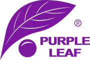Purple Leaf