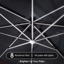 PURPLE LEAF Rectangular Cantilever Umbrella with Base, Outdoor Umbrellas with Lights