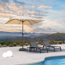 PURPLE LEAF Crank and Tilt Table Umbrella Outdoor Patio Market Umbrella with Visible Hand Crank System