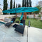 PURPLE LEAF Table Umbrella with Lights Double-Sided Market Umbrella with Base