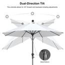PURPLE LEAF Crank and Tilt Table Umbrella Outdoor Patio Market Umbrella with Visible Hand Crank System
