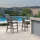 PURPLR LEAF Bar Stools Chair Set of 2, Rattan and Aluminum Frame with Comfortable Cushion