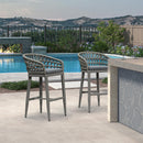 PURPLR LEAF Bar Stools Chair Set of 2, Rattan and Aluminum Frame with Comfortable Cushion