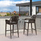 PURPLE LEAF Modern Bar Stools Set of 2, Aluminum Bar Stool with Cushion for Indoor and Outdoor, Kitchen Island