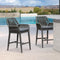 PURPLE LEAF Modern Bar Stools Set of 2, Aluminum Bar Stool with Cushion for Indoor and Outdoor, Kitchen Island