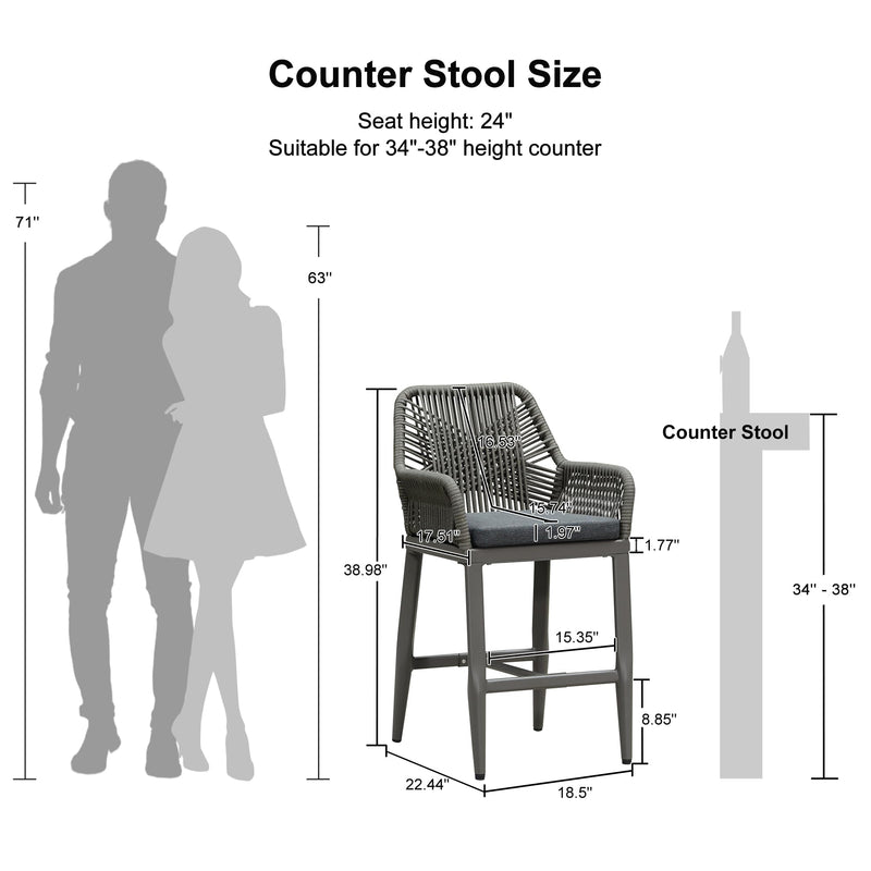 PURPLE LEAF Modern Bar Stools Set of 2, Aluminum Bar Stool with Cushion for Indoor and Outdoor, Kitchen Island