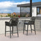 PURPLE LEAF Modern Bar Stools Set of 2, Aluminum Bar Stool with Cushion for Indoor and Outdoor, Kitchen Island