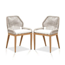 PURPLE LEAF 2 Pieces  Sunbrella Patio Dining Chairs with All-Weather Wicker Back and Comfortable Cushions for Deck, Garden, Kitchen