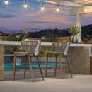 PURPLE LEAF Outdoor Bar Stools Set of 2, Aluminum Frame, Cradle back, Height Stools Chair - Purple Leaf Garden