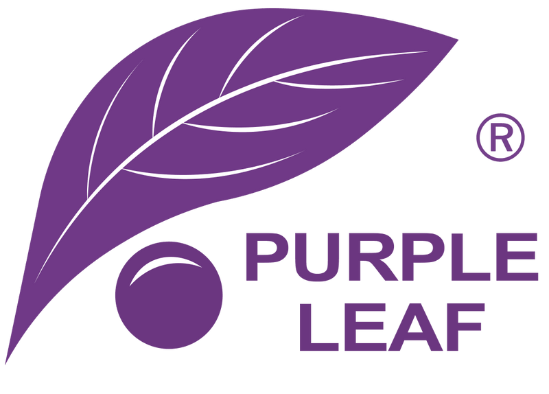 SC-PATIO UMBRELLA - Purple Leaf Garden