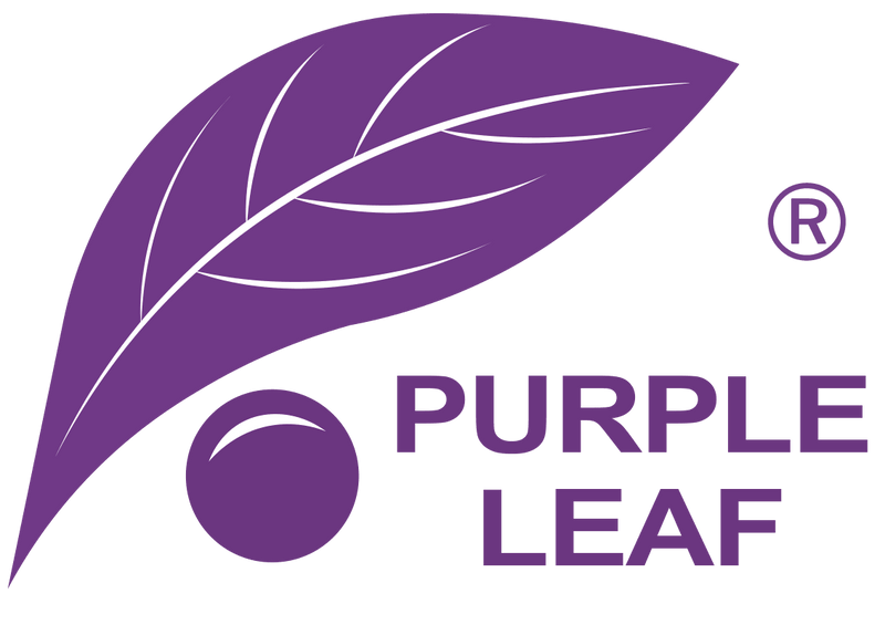 SC-PERGOLA - Purple Leaf Garden